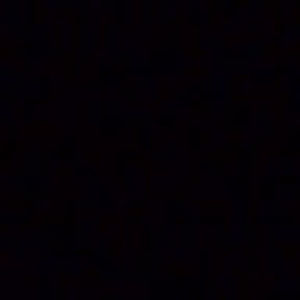 Meet your Posher, Yeerdlee gleille